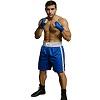 FIGHT-FIT - Box Shorts / Blau-Weiss
