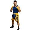 FIGHT-FIT - Box Shorts Long / Bosnien-Bosna